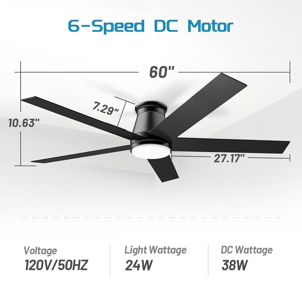 sazae　0618 Ibanez EHB1006MS 6-String Multi-Scale Ergonomic Headless