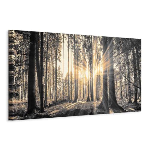 murando - Wandbilder XXL Wald 150x50 cm 1 tlg - Wand Deko Leinwand Bilder Groß Wandbild Wohnzimmer Bild Schlafzimmer Kunstdruck Panoramabild - Waldlandschaft Natur Bäume Sonnenaufgang c-B-0077-b-c murando - Wandbilder XXL Wald 150x50 cm 1 tlg - Wand Deko Leinwand Bilder Groß Wandbild Wohnzimmer Bild Schlafzimmer Kunstdruck Panoramabild - Waldlandschaft Natur Bäume Sonnenaufgang c-B-0077-b-c