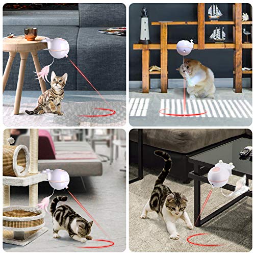 Nice Dream Giocattoli Gatto Interattivi, Giochi