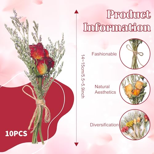 10 Pack Fall Mini Dried Flower Bouquet, 5.5'' Thanksgiving Dried Flowers with Stem Small Dried Wildflowers Combinations Dried Flowers Floral for DIY Craft Scrapbook Card Gift Wedding Decor