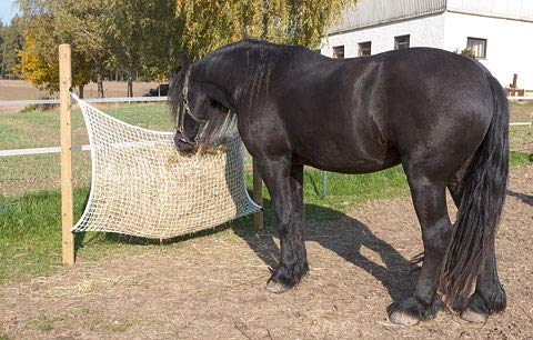 Kerbl Heunetz engmaschig 3x3 cm (Größe 120x90 cm, für 12-Stunden Fütterung, Füllmenge ca. 8,5 kg Heu, Robustes Material, Futternetz) 321998