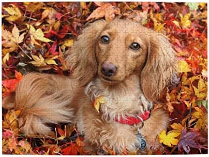 Wooden Jigsaw Puzzle 500 Piece – Dachshund Dog Large Puzzle Game Artwork for Adults Teens 20.4X 15 Inch