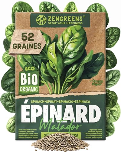 ZenGreens® – Graines de épinard bio - Semences potagères - Graines de légumes pour une culture facile au jardin, sur le balcon ou dans un potager surélevé - Matador