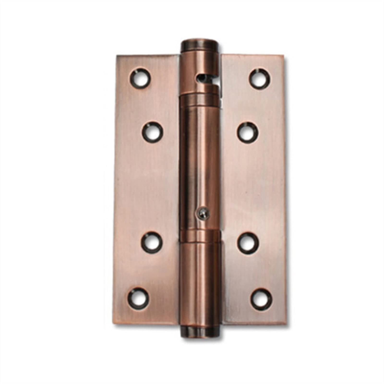 Nvsfzgiyg 5 Diy Heavy Duty Automatic Self Closing Spring Hinges Stainless Steel Door Hinge For Corridors Boilers Apartments Entrances And Stairw(5)