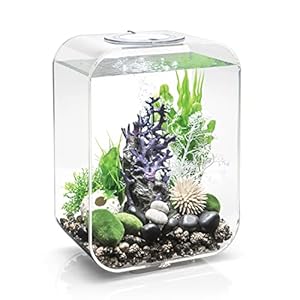 biOrb Life 15 Acrylic 4-Gallon Aquarium with White LED Lights Modern Compact Tank for Tabletop or Desktop Display, Transparent