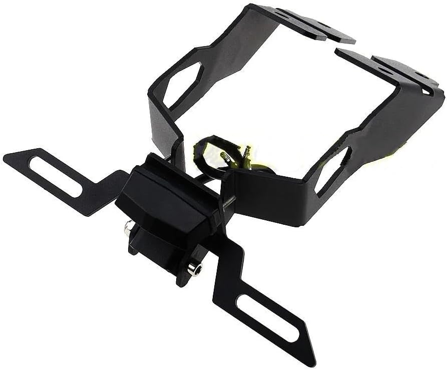 フライングガメラ・コンセプトデザイン（バイス・アルファ）塗装版