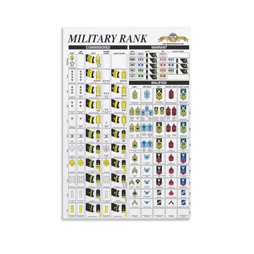 American Military Rank Poster，Navy Pilot Ranks Posters，Military Rank Poster Poster Decorative...