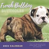 Yorkshire Terrie Buttholes Calendar: Special Funny Gag Calendar 2022 2023 - Great Gifts for Adults