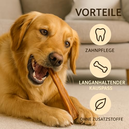 123... Hund dabei! - 1kg Premium Naturgetrocknete Rinderkopfhautstangen 30cm für Hunde - 100% Natürlich & Getreidefrei - Rinderkopfhaut - Für Starke Zähne - 100% Naturprodukt (1kg, 30cm Stangen)