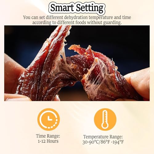 Essiccatore Elettrico per Alimenti, essiccatore per Frutta e Carne in Acciaio Inossidabile con Timer da 12 Ore, Design a 6 Strati per un'essiccazione efficiente di Frutta, Verdura e Carne secca