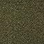 Olive Heather