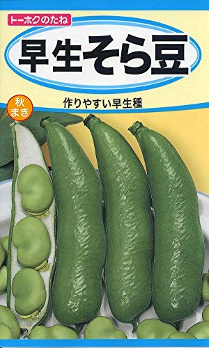 ґ瓤