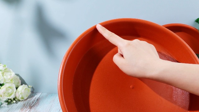 Amazon.com : 12 Pcs 12 Inch Plastic Plant Saucer Thicker Plastic