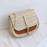 Uso multifuncional: se puede usar como bolso de hombro, bolso de playa, bolso de mensajero, bolso de mano, billetera, bolso de compras, etc. Fácil de usar, adecuado para llevar.