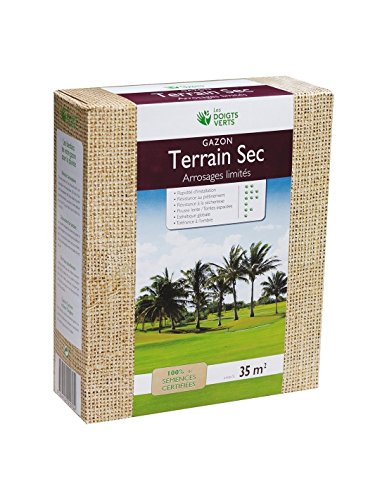 Gazon Terrain Sec Modèle