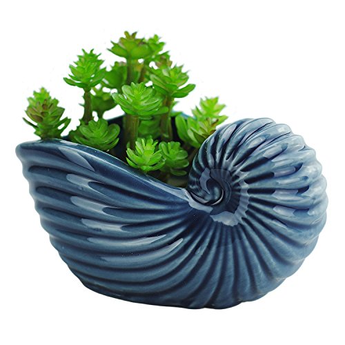 VanEnjoy 5' Ceramic Succulent Pot - Ocean Blue Seashell Series, Conch Shaped Cactus Planter - Cute Shell Soap Container Holder & Vase Dish
