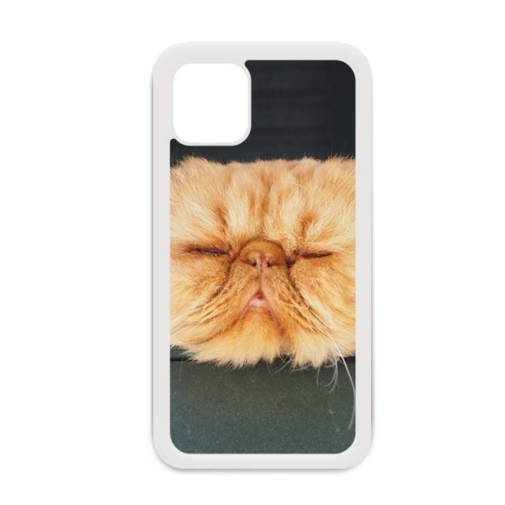 Coque iPhone 12 Pro Max chat jaune pour sublimer votre style - 4