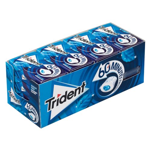 Trident 60 Minutos Menta - Chicles sin Azúcar con Sabor a Menta - Paquete de 16 Envases 22 g