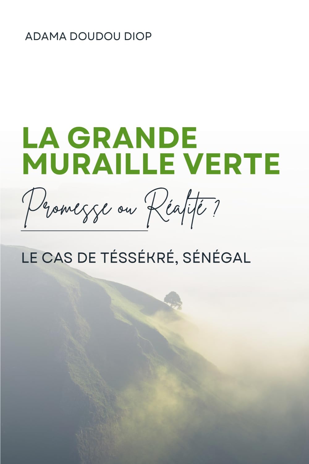 La Grande Muraille Verte: Promesse ou Réalité ? Le cas de Téssékré, Sénégal