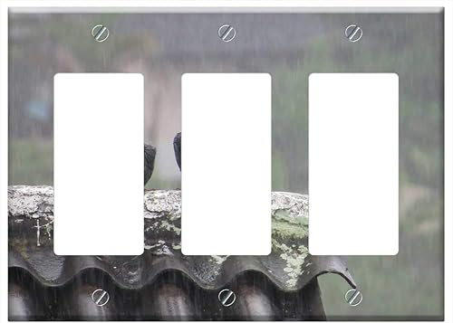 Switch Plate Triple RockerGFCI - Birds Fauna Rain Nature Armenia Quindio Colombia
