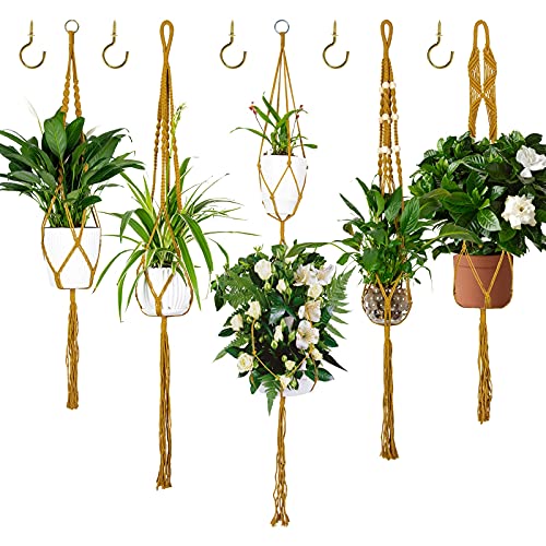 Plantas De Jardin Exterior Los 20 Mejores Precios