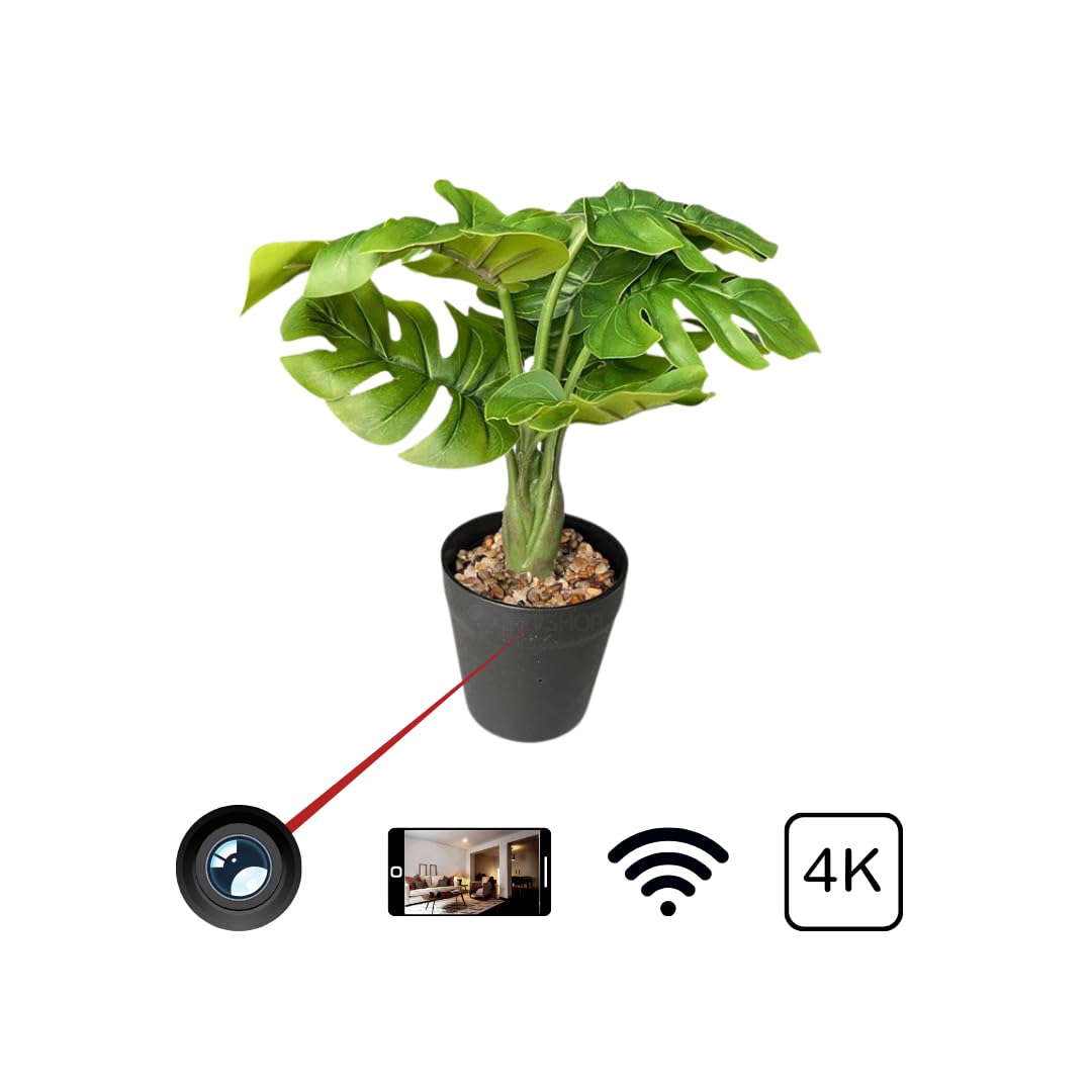Générique Sztuczna roślina Kamera szpiegowska 4k WiFi