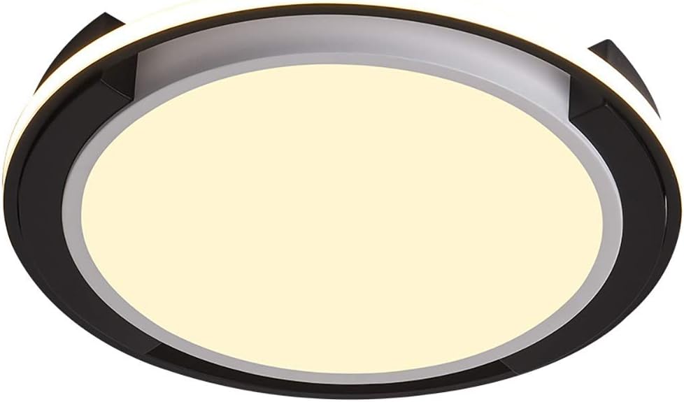 Modern Minimalist Bedroom Ceiling Lamp Creative Personality Art Study Lamp Living Room Lamp Bedroom Lamp Adjustable Lighting/48 * 6Cm