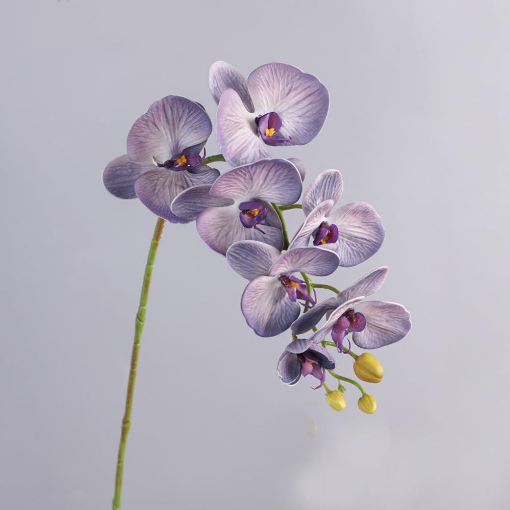FANCYPUMPKIN 30β Artificial Phalaenopsis Flowers Stem Plants Fake Flowers Arrangement for Home Decor Party Wedding DIY DΓ©cor, 7 Orchid Flowers(Light Purple)