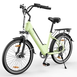 ESKUTE C100 Elektrische Fiets, 26Inch E Bike, Met 250W Hogesnelheidsmotor, 36V 10.4 Ah Verwijderbare Batterij, Topsnelheid 25km/u,LCD-scherm, Electric Bike Voor Volwassenen Heren Dames