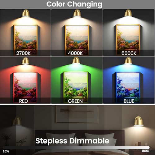 Image of AIBOO Art Display Lights, Picture Lights Rechargeable Gold, Color Changing & Dimmable with Remote LED Rotatable Wall Lights for Pictures, Paintings, Portraits, Artworks (2 Pack)