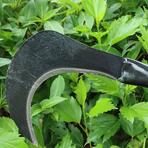 Elegital Kana Hoe 217 Japanese Garden Tool - Hand Hoe/Sickle is Perfect for Weeding and Cultivating. The Blade Edge is Very Sharp. (Beijing-025) - Thumbnail 6