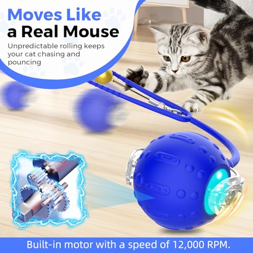 Interactive Moving Cat Toy on Sale - Realistic Tail & Play Modes - Image 2