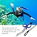 Pilipane Safety Sea Snips, Dive Shears, Emergency Scissors, Scuba Diving Scissors Stainless Steel Scuba Diver Shears with Lanyard and Buckle(蓝色)