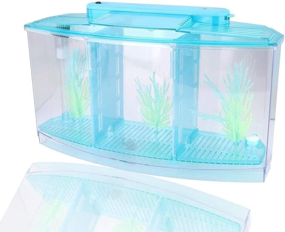 Jainsons Pet Products 3 Tank Kit Betta Fish Tank, Adjustable Light Isolation Acrylic Small