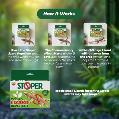 Image of Stoper Natural Lizard Repellent Box| Non-Toxic | Indoor Use | 100% Organic -20g (Pack of 4)