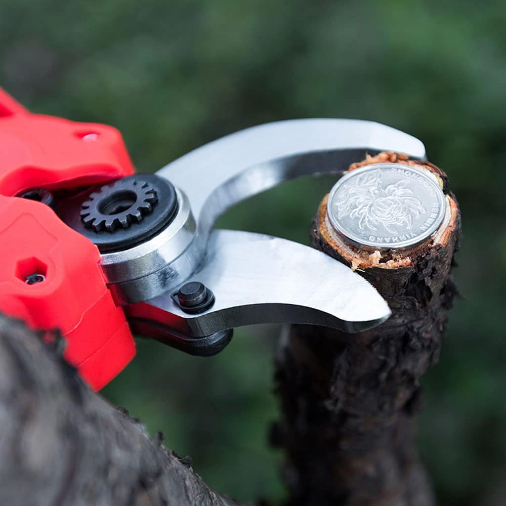 50 Off 剪定ばさみ 安全ロック付き 剪定はさみ 園芸用ハサミ 30mm 軽量 生け花 果樹 庭木の剪定 盆栽剪定 植木のお手入れ コードレス果物狩り剪定鋏 電池個付属園芸用剪定用具 Rachelbaptista Com Br