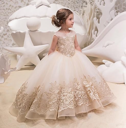 Flower Girl Dress Ball Gown Lace Up First Communion Gress Girl Lace Dresses3