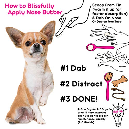 Image of The Blissful Dog Smooth Coat Chihuahua Nose Butter for Dry, Cracked Skin, Lick-Safe Dog Nose Balm with Moisturizing Shea Butter, Almond, Olive, and Essential Oils, Pet Supplies, Uncented, 4 oz.