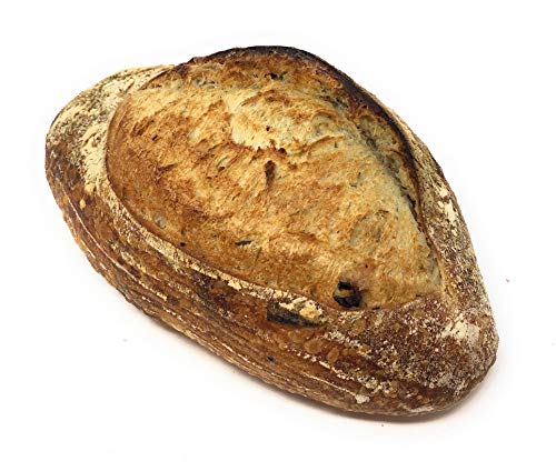 Bread Sourdough Boston Rosemary Olive