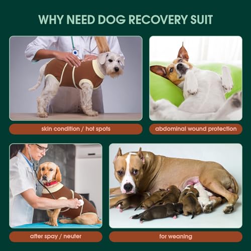 Image of Kuoser Dog Recovery Suit, Soft & Breathable Fabric, Anti Licking, Cone Alternative, Brown XS