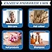 100% Natural Calcium Hydroxide Powder for Food & Cosmetics 454 g / 1 lbs