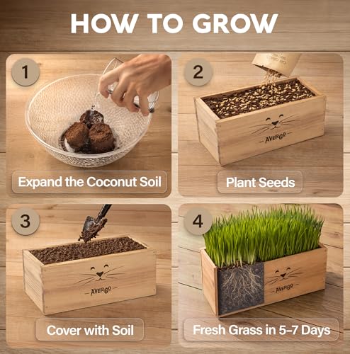 Image of Cat Grass Kit for Indoor Cats - x4 Seed Packets | Cat Grass Seeds with Wooden Planter, Soil & Mini Gardening Tools for Nipping & Nibbling - Pet Wheatgrass Grass