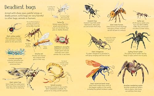 Big Book of Big Bugs (Big Books) - Image 5