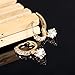 TIDOO 18K Gold Plated Sparkly Cubic Zirconia Drop Earrings For Women Small Crystal Dangle Earring Jewelry Star Shaped Earrings (golden)