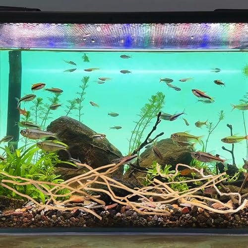 Image of Hamiledyi Natural Driftwood for Aquarium Decor - Red Moor Wood 10 inch-15 inch Long Assorted Shapes (200g) Safe Branches for Fish Tank & Reptile Habitat - Natural Aquarium Wood Decorations (Delicate branches)