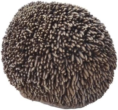 Miniatura 4 de Hi-Line Gift Ltd Estatua de erizo sentado