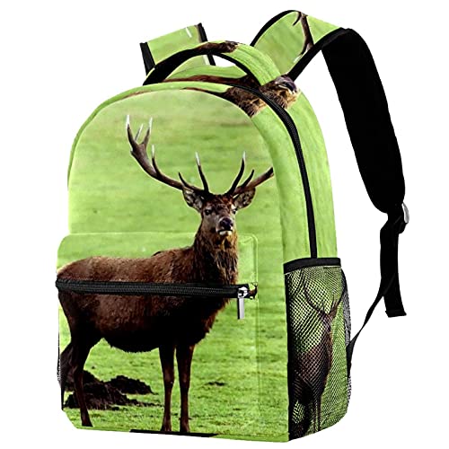Sac à dos de voyage ergonomique et coloré pour voyager léger
