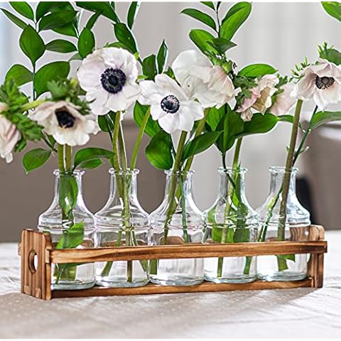 Le'raze Glass Flower Vase Set Cover