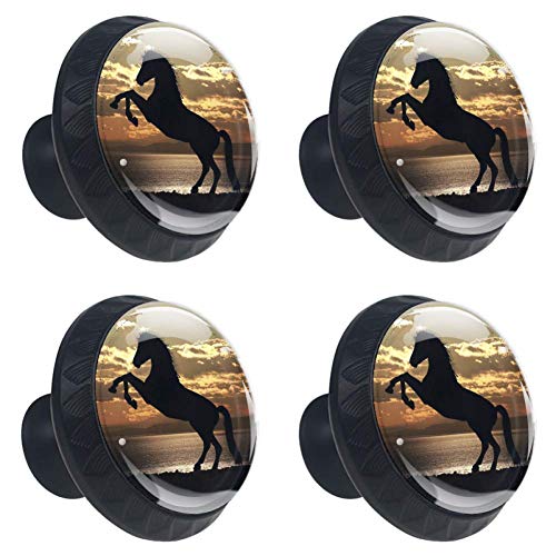 LORVIES Horse Under Sunset Drawer Knob Pull Handle Crystal Glass Circle Shape Cabinet Drawer Pulls Cupboard Knobs with Screws for Home Office Cabinet Cupboard (4 Pieces)