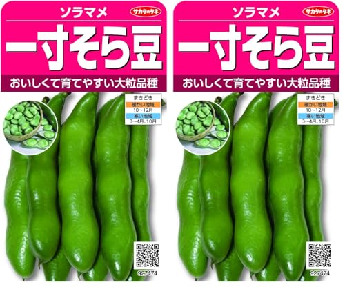 �T�J�^�̃^�l �\���}�� �ꐡ���瓤 (× 2)